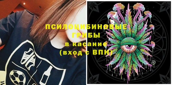 крисы Абдулино