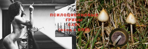 каннабис Алексеевка
