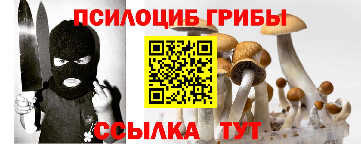 Псилоцибиновые грибы Cubensis Курск